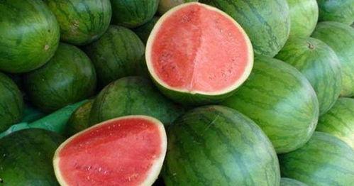 吃瓜回复什么,揭秘娱乐圈幕后真相